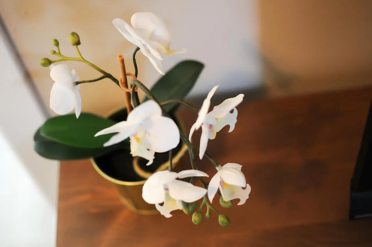 바르셀로나 The Sants'S Balcony 아파트 0*,  스페인