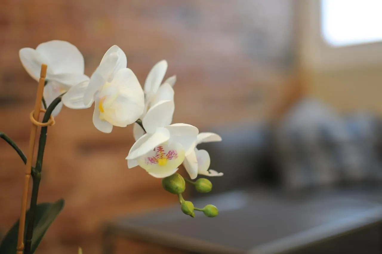 바르셀로나 The Sants'S Balcony 아파트 스페인